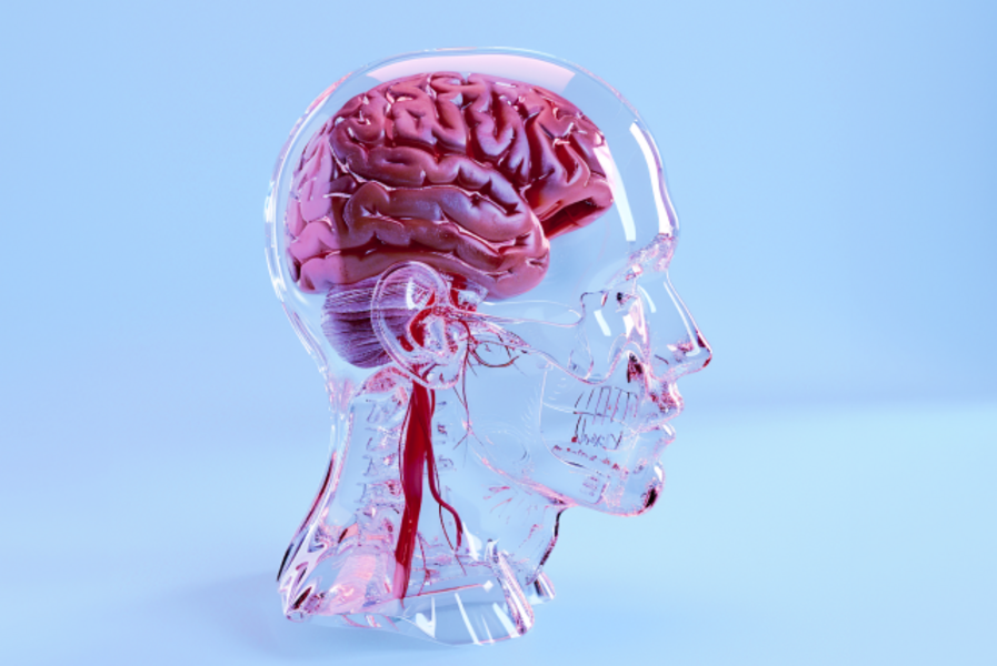 Чекап "Светлая голова"